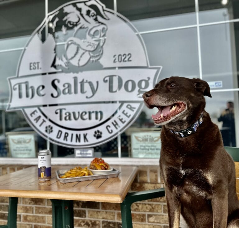 The Salty Dog Tavern in Milldale and Plainville CT | The Salty Dog